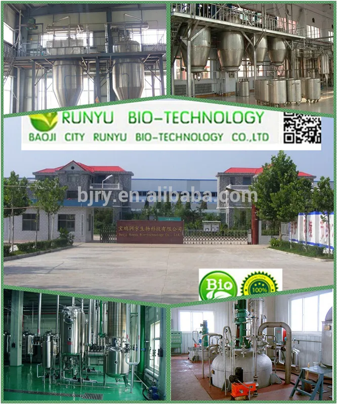 98% Andrographis Paniculata Extract/ Andrographolide/Herba Andrographis P.E. powder