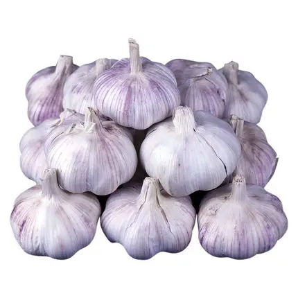 
China Fresh White Garlic , Purple Garlic price in China 