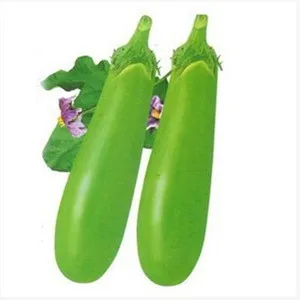 
2018 Precocious disease-resistant hybrid green eggplant seed selling 