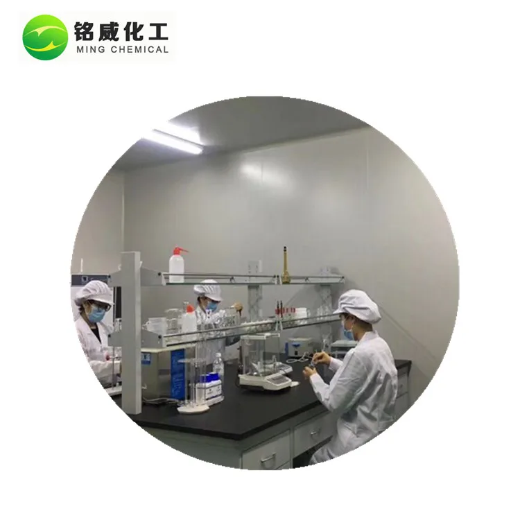 Unsweetened Natural Spray Dried Grape Pulver SD Grape Powder Bulk