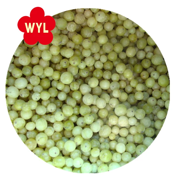 good price iqf frozen gooseberry with frozen fruits