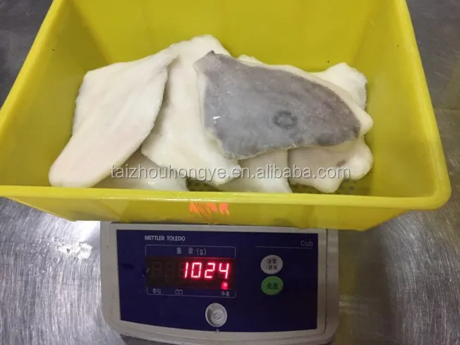 
2018 new frozen john dory fish fillet (zeus faber) skin on PBO IQF 