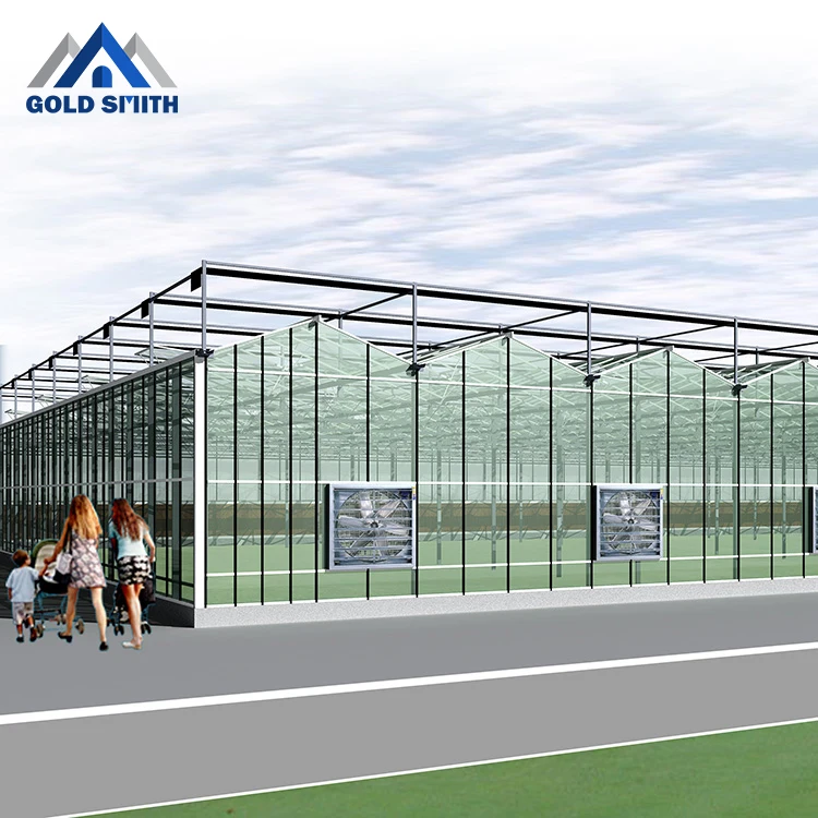 Chinese Farm used Venol Type Glass Greenhouse with Hydroponic System