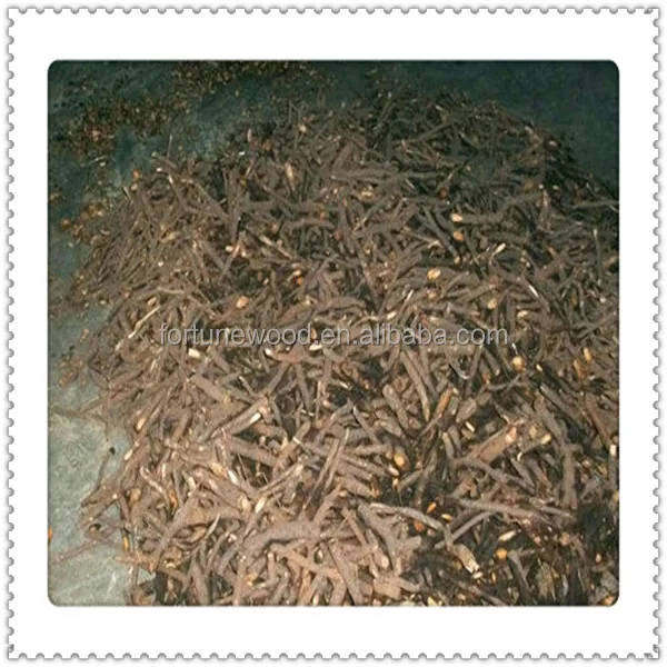 China supply 2014 fresh root cutting of paulownia shan tong