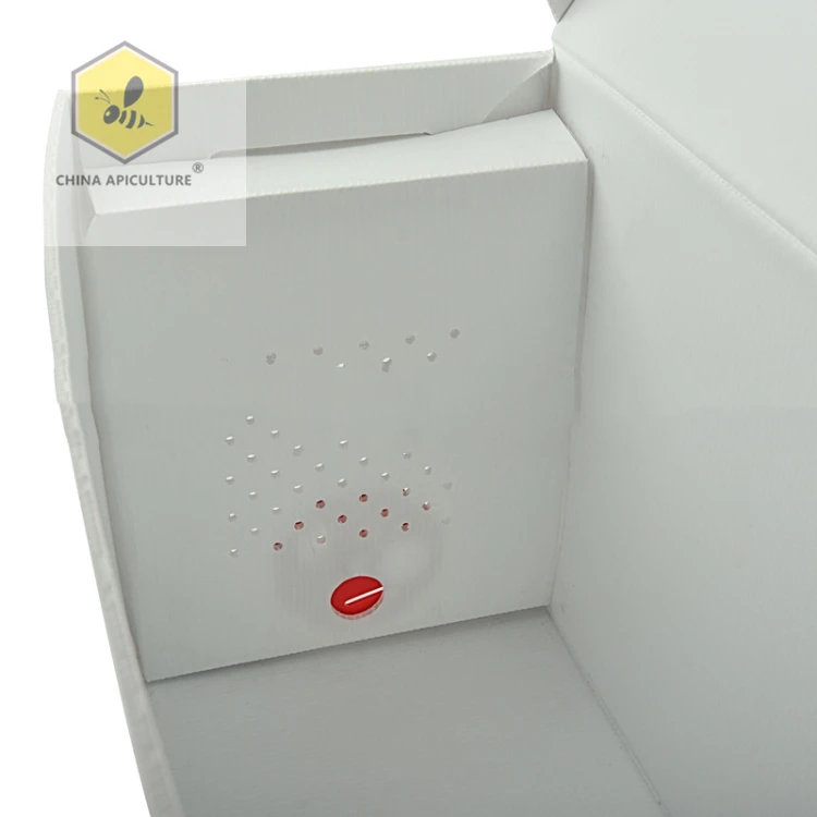 Оборудование для пчеловодства из Китая corflute beehive 100% полипропиленовый пластиковый hive nuc box