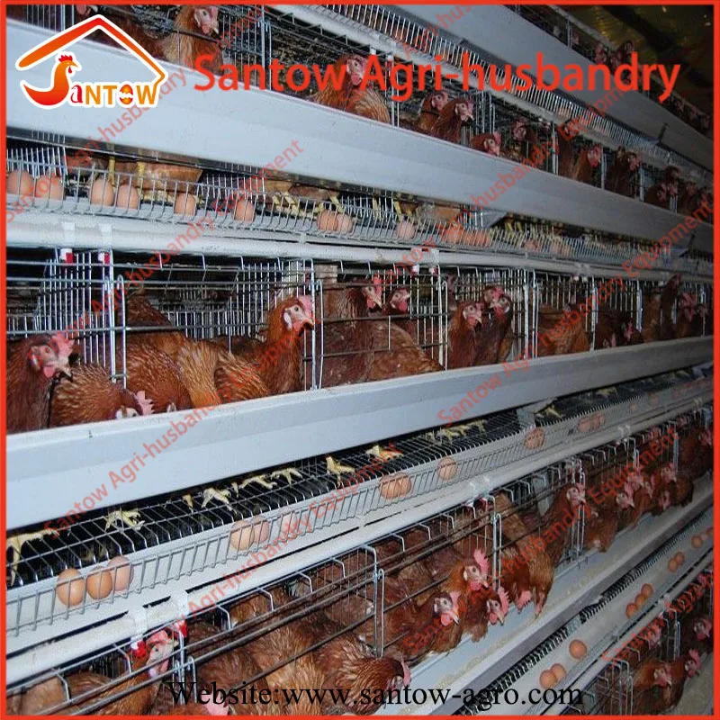 
Hot Galvanized Chicken Poultry Cages Cold Galvanized Cage tunnel ventilated poultry house For Sale Nigeria Africa 