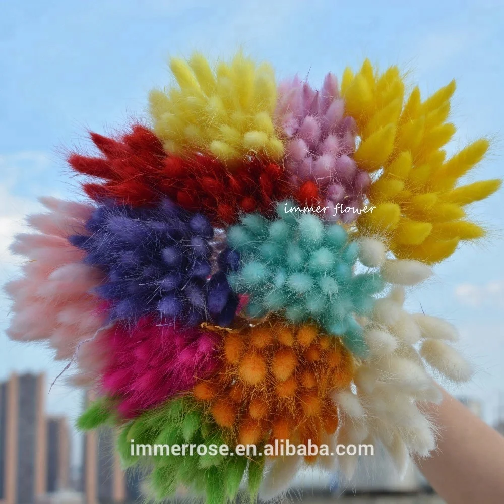 China Wholesaler selling variety kinds of dry flower lagurus ovatus phalaris arundinacea grass