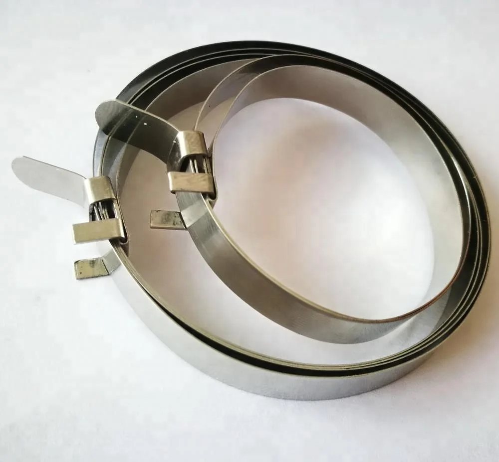 Stainless steel 304 W4 throbbing hose clamp
