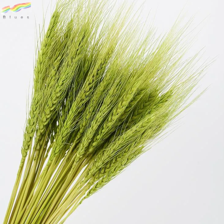 Dried Wheat Stalks Wheat Grass Bouquet Bundle Flower for DIY Home Table Wedding