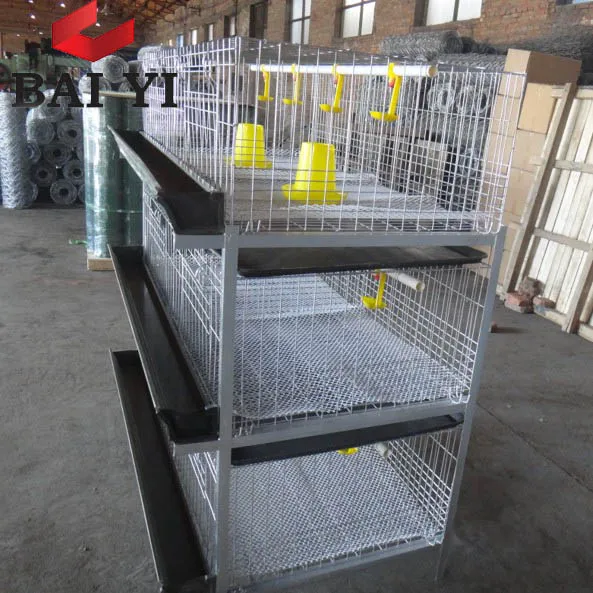 H Type 3 Tier 48 Birds Capacity Cage For Growing Broiler