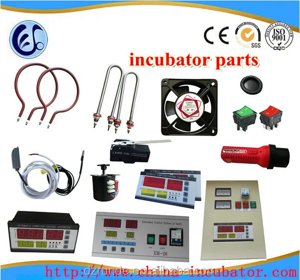 Egg turning motor system for egg incubator