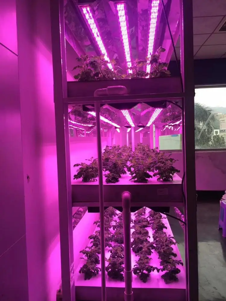 Custom spectrum module design full spectrum Horticulture Hydroponic greenhouse 150W 200W 250W tube led grow light