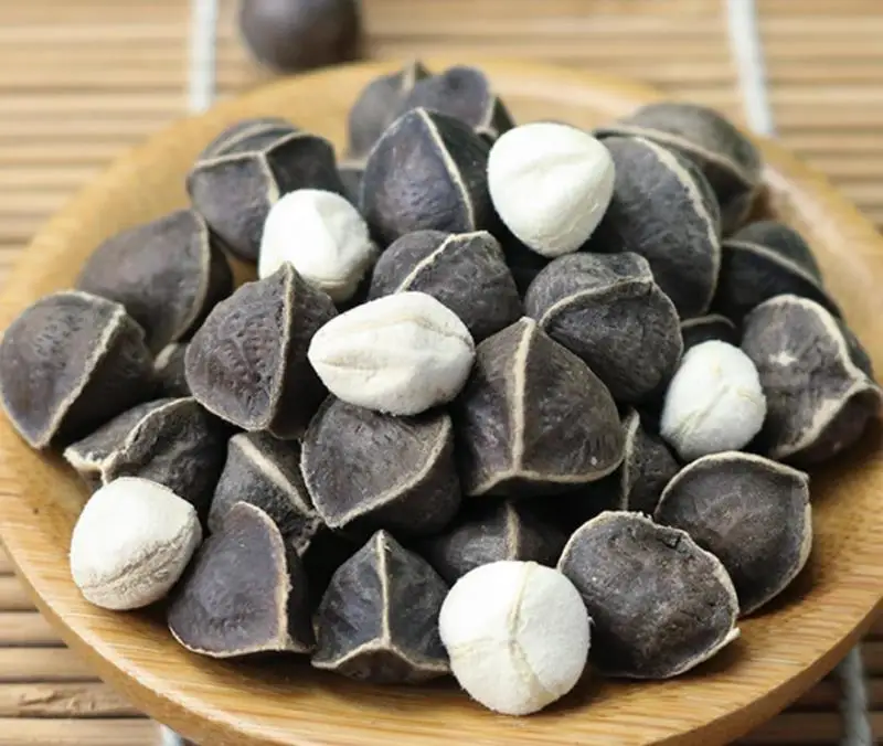 Natural big size dried raw loose Drumstick tree seeds for health foods