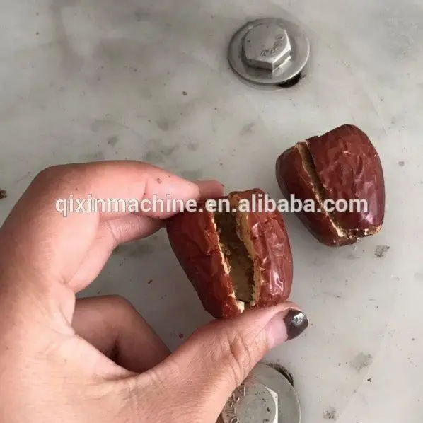 plum seed separator machine / palm kernel separating machine