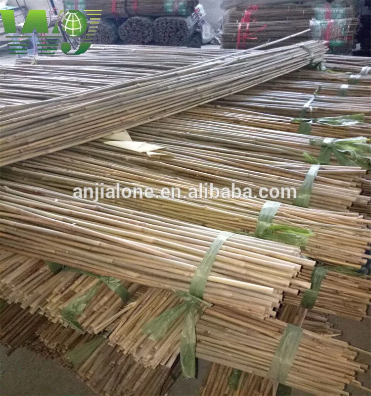 Tonkin  bamboo cane    moso bamboo Anti-mildew and insect-proof treatment
