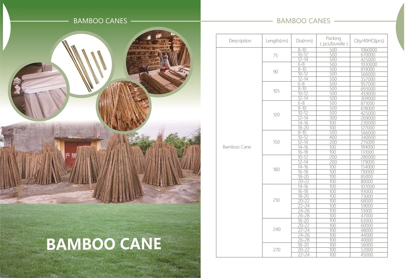 Garden Dried Bamboo Cane Bamboo Stick Bamboo Pole for Planting