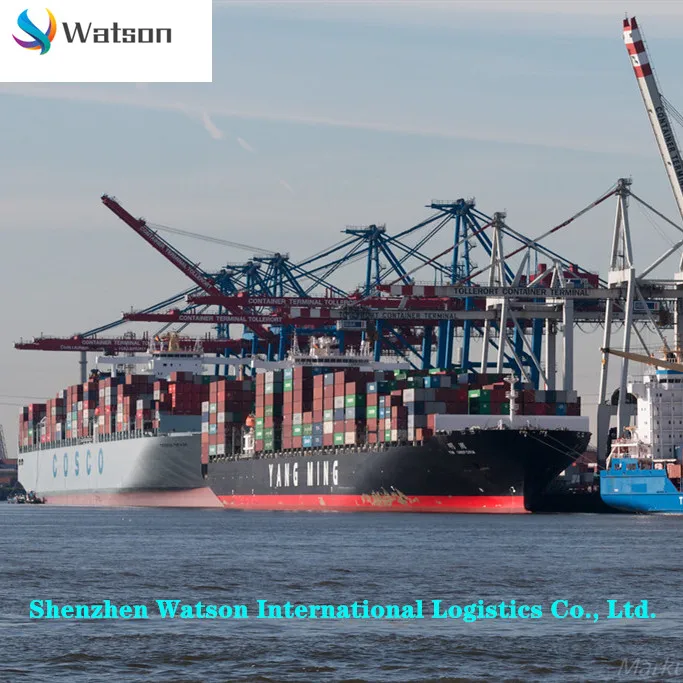 
China to EU countries United Kingdom France Spain Germany Italy Netherlands to the sea transport DDU/DDP transport services 