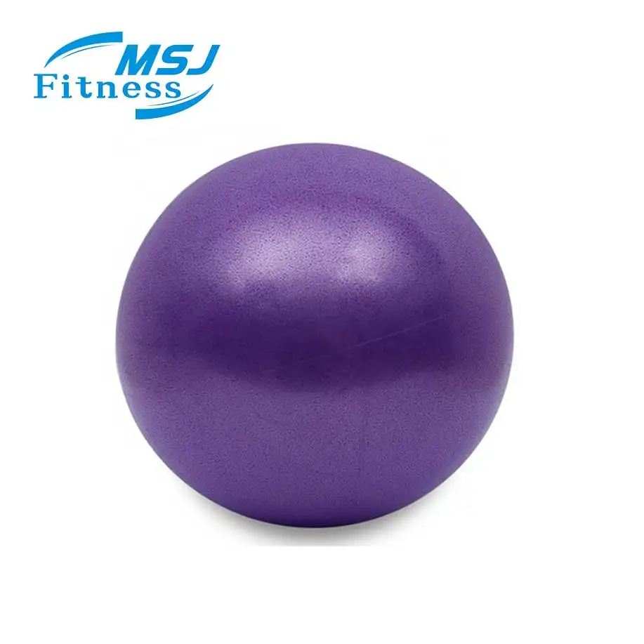 Gymnastic Ball Fitness Yoga Ball