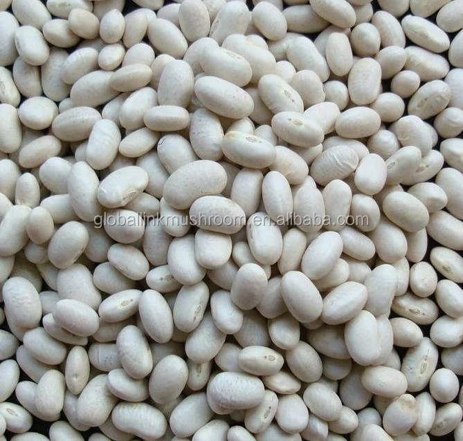 2017 New Crop Japanese White Kidney Beans