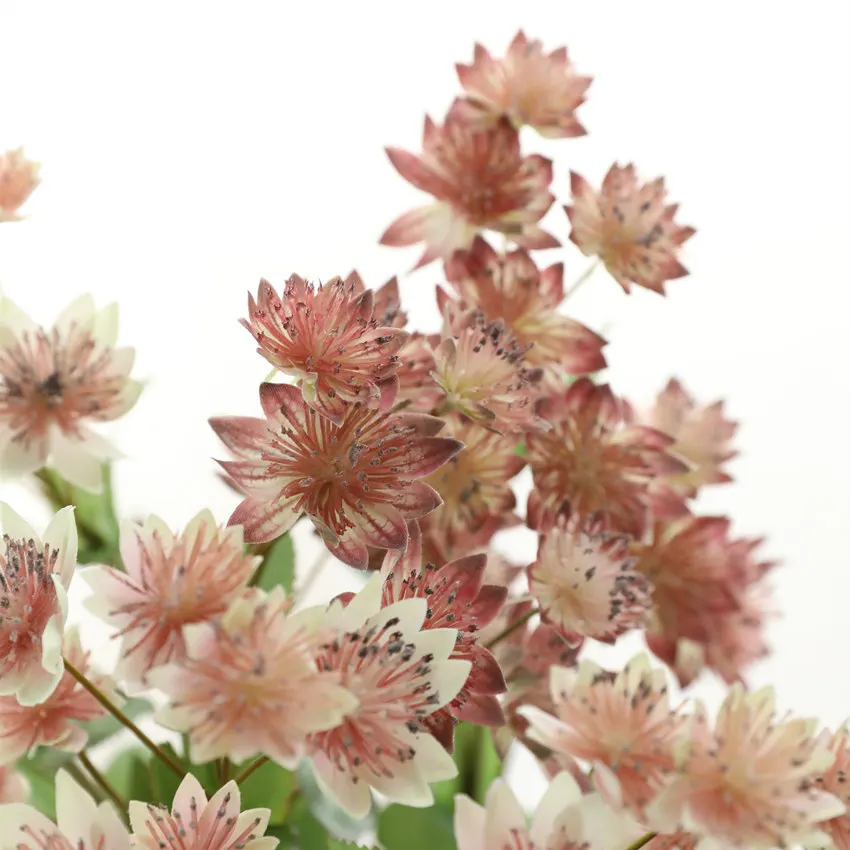 Shininglife Brand  Snow lotus high-end artificial flower 3D printing color home decoration