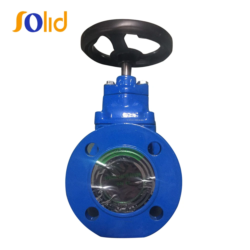 
DIN 3352 F4 DN50 PN16 Cast Iron CI OS&Y Resilient Seated Flange end Gate Valve 