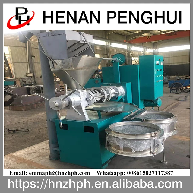 Automatic Prickly Pear Seed Oil Press Machine