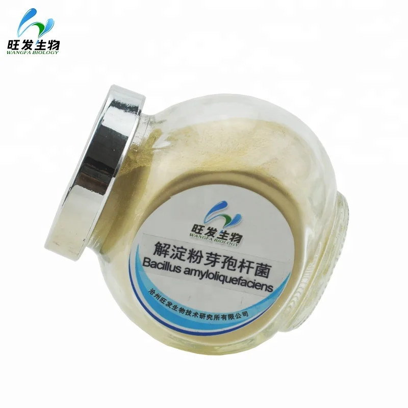 Bacillus Amyloliquefaciens for feed additives