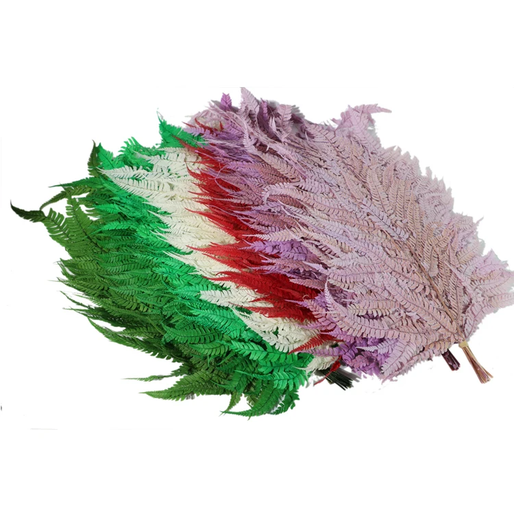 Preserved Natural Eternal Plants Preserved big Fern Leaves large green leaf plants