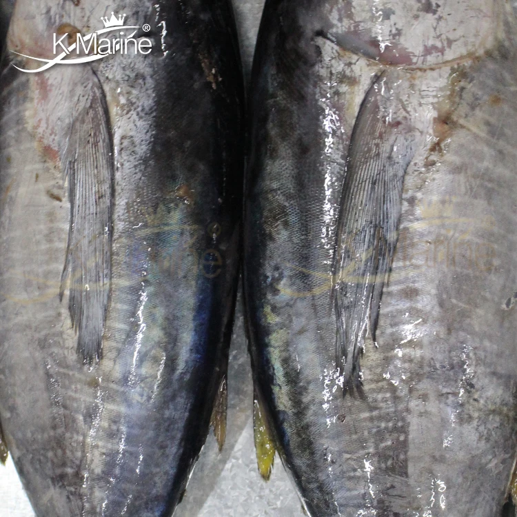 Frozen Light Meat Pouch Tuna Fish Buyers