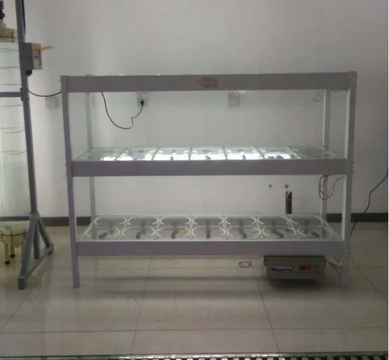 chlorella,microalgae, algae culture for algae storage rack