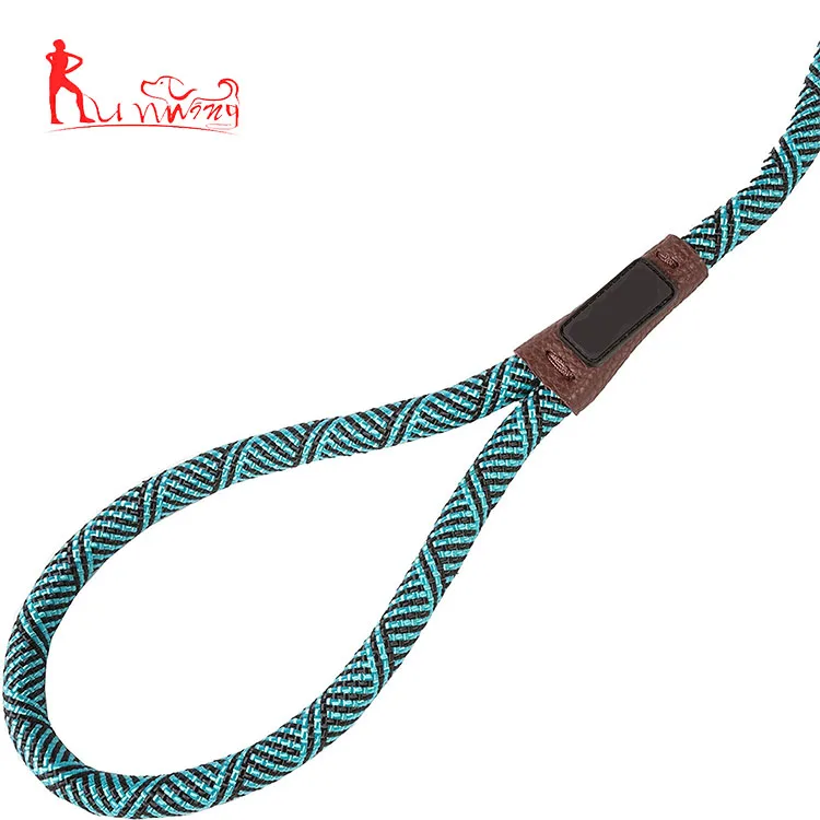 Adjustable mountain climbing loop slip lead for medium dogs, braided lead