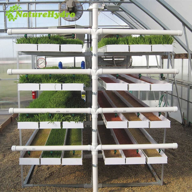 Hydroponic forage systems alfalfa fodder system for sale
