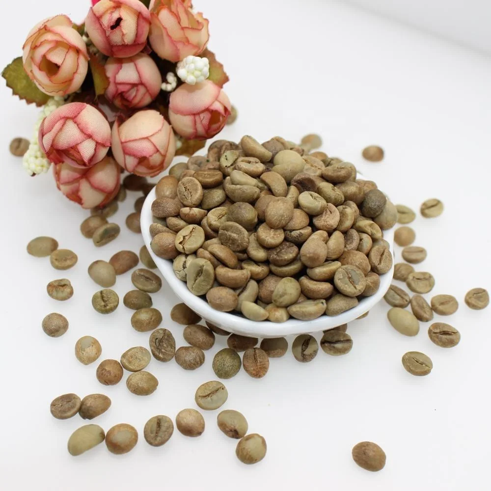 green coffee bean export price raw coffee