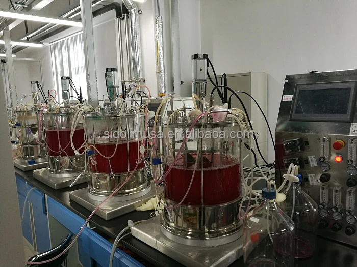 Chemical Laboratory Glass Fermentor , Stainless steel Bio reactor