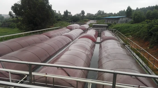 Factory price red mud biogas digester for animal cow poultry chicken lamb dropings waste