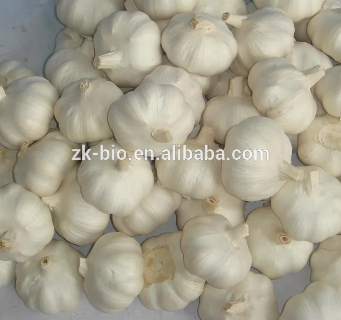 Натуральный аллицин Alliin без запаха экстракт чеснока в порошке