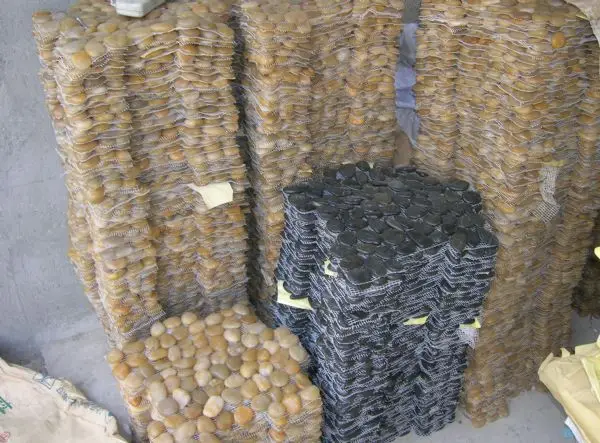 Pebble Stepping Stone Black Color Stone Pebble Flooring Tiles