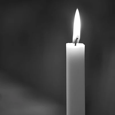 stick dinner candle palm oil candle stearic candles