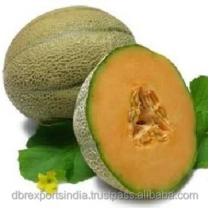 Производитель чистого масла семян мусдыни оптом из Индии по самым доступным ценам