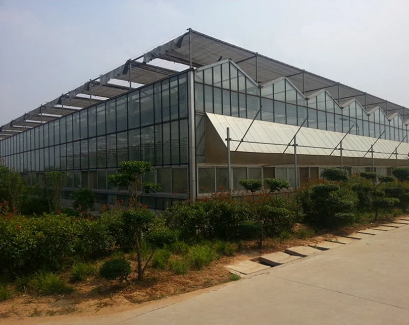 complete glass green house project  and manufacturer for vegetable  planting