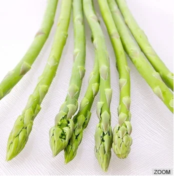 
Green high quality canned asparagus fresh vegetable 