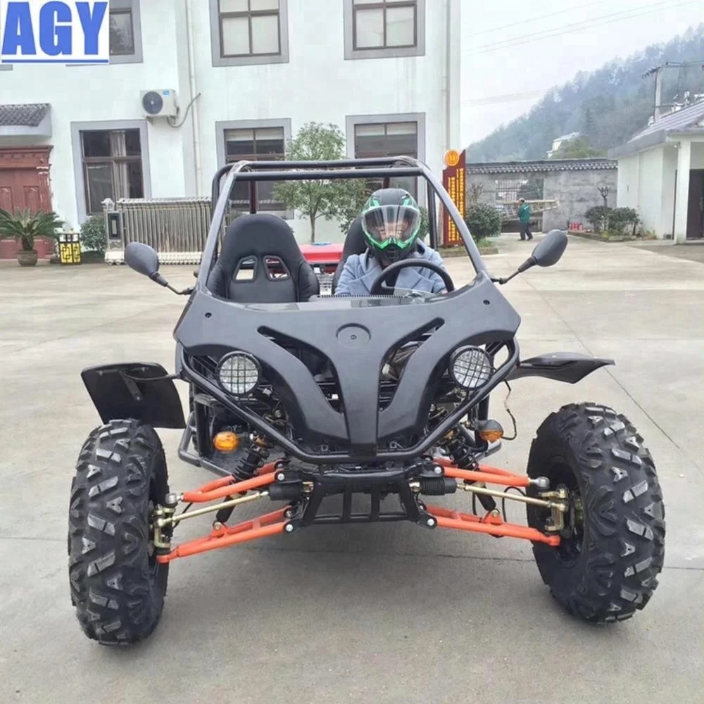AGY 200cc go-carts for kids