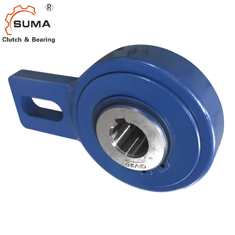 
GV50 China Manufacturer One Way Bearing Backstop 