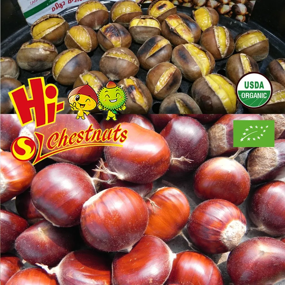 Sweet and easy peeling Chinese chestnut