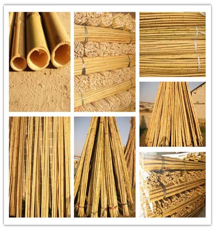 
wholesale! High-quality bamboo poles Plant support rods 