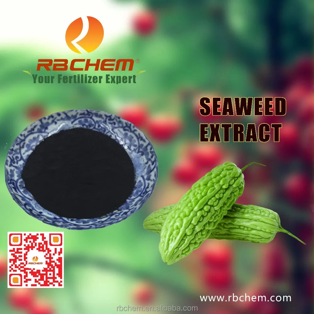 Plant Nutrients Agriculture Natural Seaweed Extract Organic Fertilizer In RBCHEM