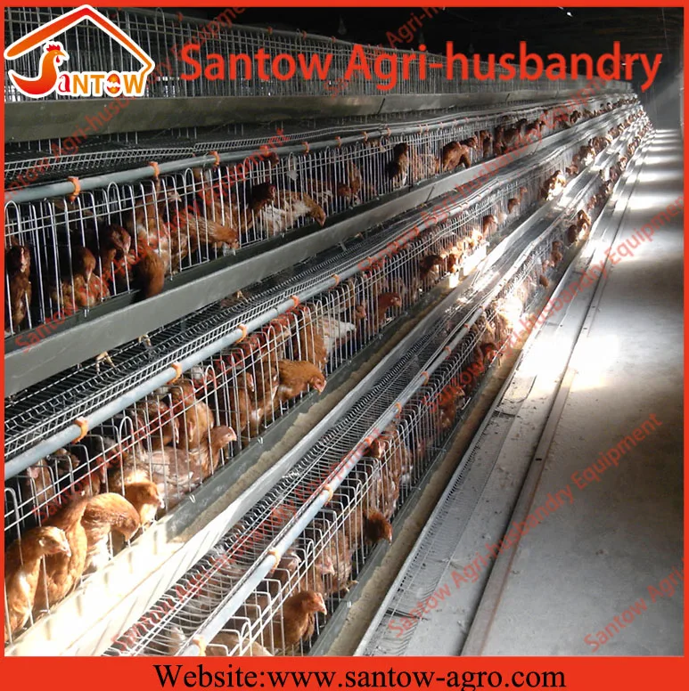 A type 4 tier chicken layer cages pigeon breeding battery cage for poultry farm