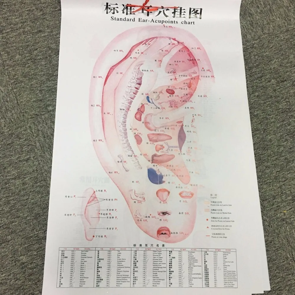 Chinese medical Acupuncture Charts points