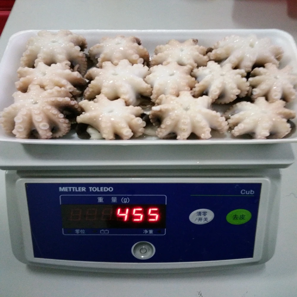 Замороженные морепродукты младенец/маленький осьминог свежий