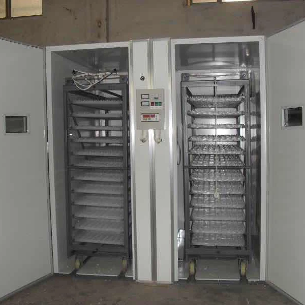 
Big Farm poultry chicken egg incubator 